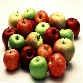 Frische Äpfel rot Fuji grün goldene leckere Äpfel, königliche Gala Äpfel, Granny Smith frische Äpfel Preis