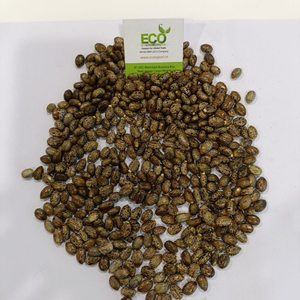 Riitsinus - Product Image 1