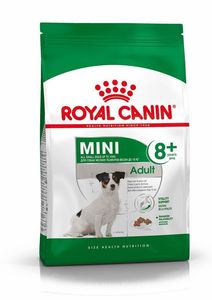 עבור רויאל canin maxi starter & חתלתול מזון טוב כיתה ללא תבואה לחיות מחמד במשקל 10 ק "ג עבור גורים וחתלתולים