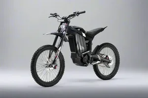 มอเตอร์ไซค์วิบากไฟฟ้า R1 250cc สำหรับกีฬาผจญภัย - Product Image 3