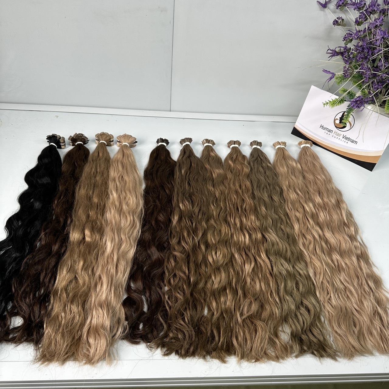 สีทั้งหมด