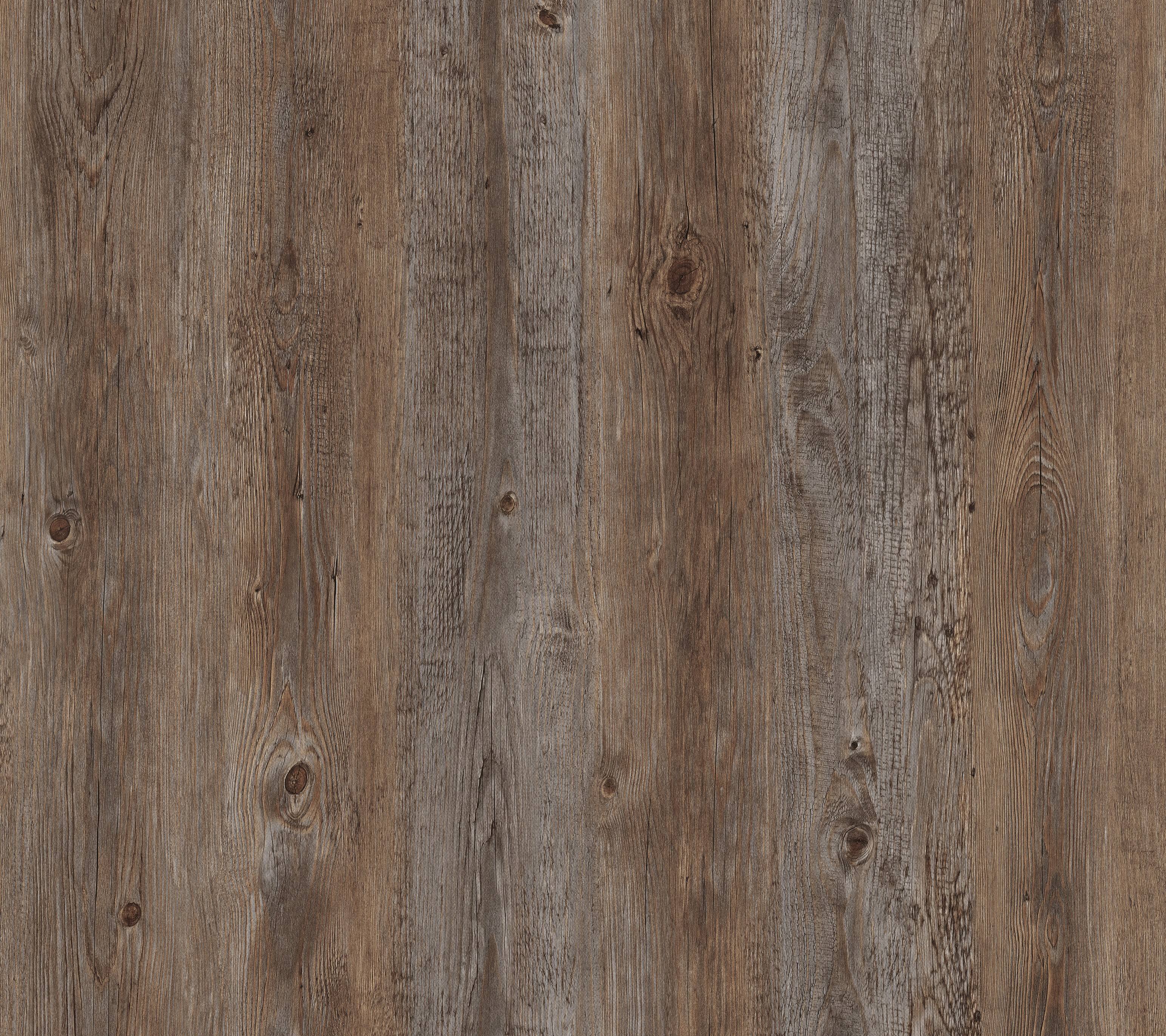 ช็อกโกแลต