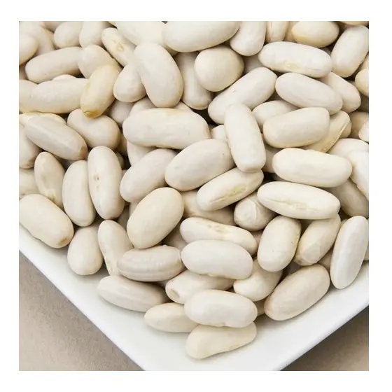 Best Quality Low Price Bulk Stock Available Of Large White Kidney Beans Raw Style Dry White For Export World Wide From Germany