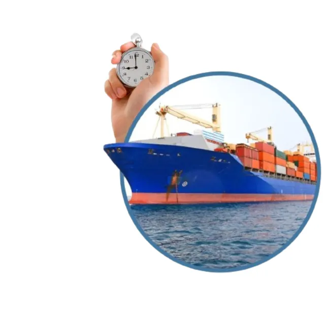 El más barato DDP puerta a puerta despacho de aduanas transporte marítimo de China a agente de Envío Mundial agente de carga