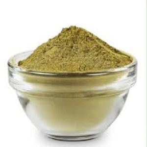 สารสกัดจากธรรมชาติ Bacopa monniera 20% สำหรับอาหารเสริม