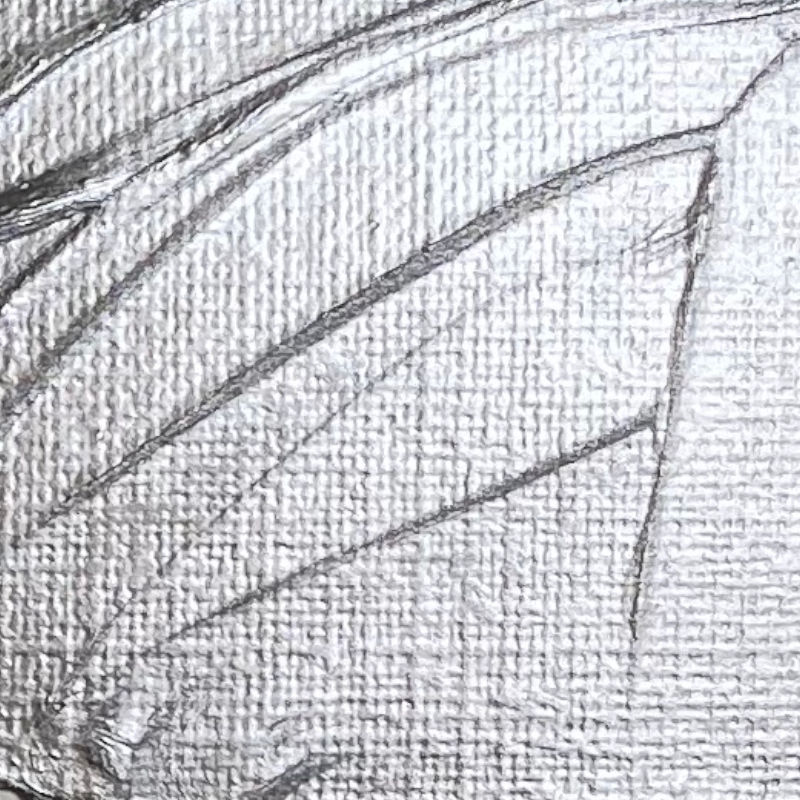 เงินสีรุ้ง