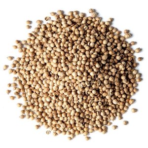 Uygun fiyatlarla satılık yüksek kalite kişniş tohumları toplu olarak satın - Product Image 3