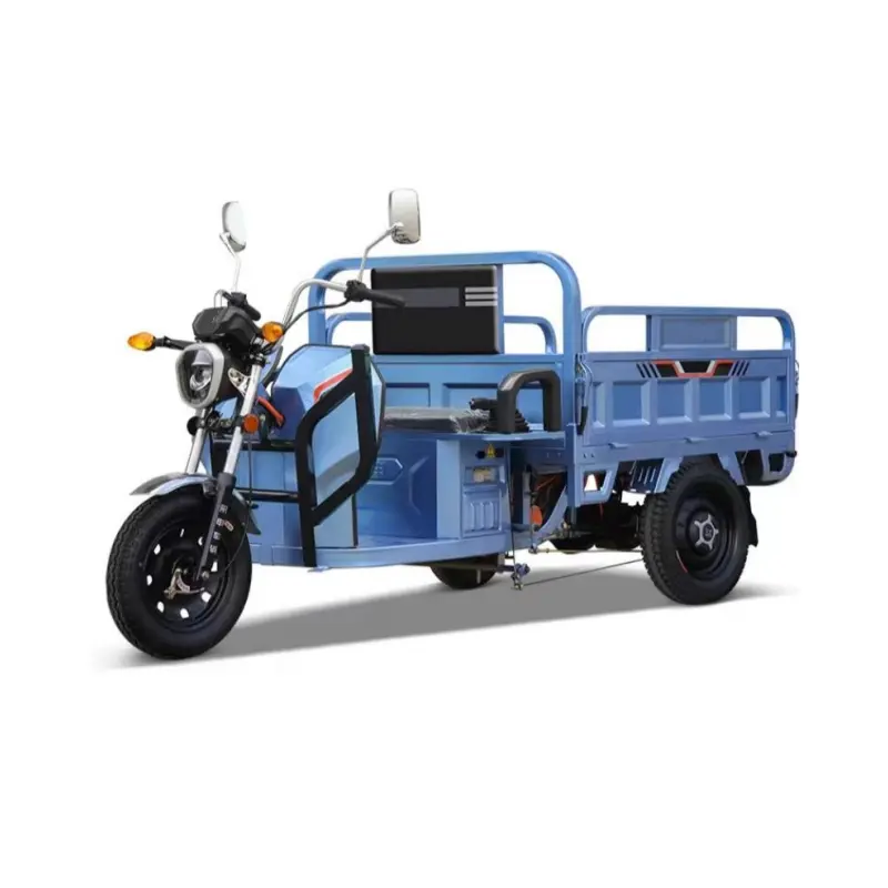 Triciclo elétrico agrícola para transporte de mercadorias, elétrico para adultos, três rodas, transporte de motocicleta