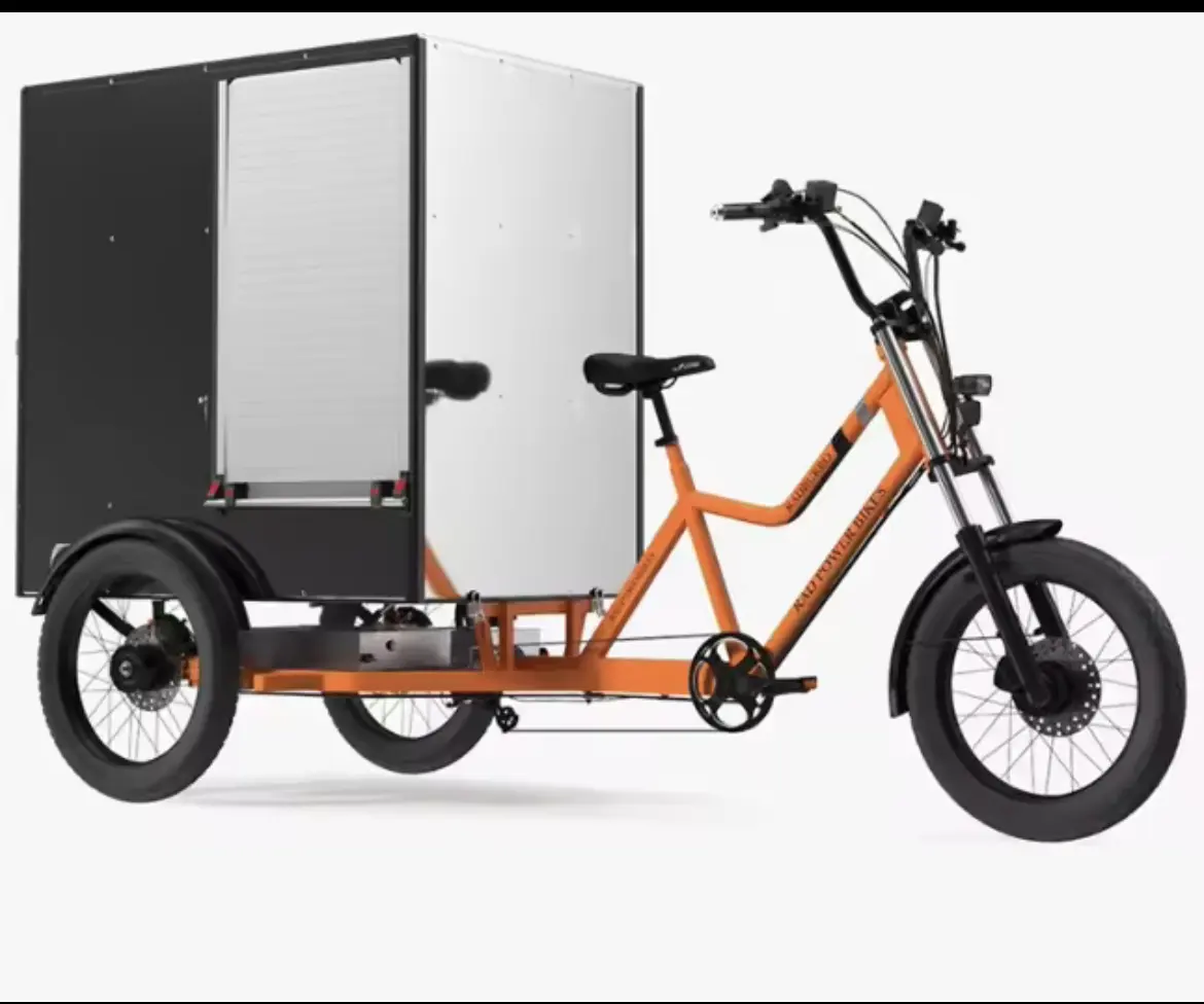 Transport Heavy Duty 3 Roues Cargo Tricycle Vélo Électrique Pedicab Électrique avec Cargo