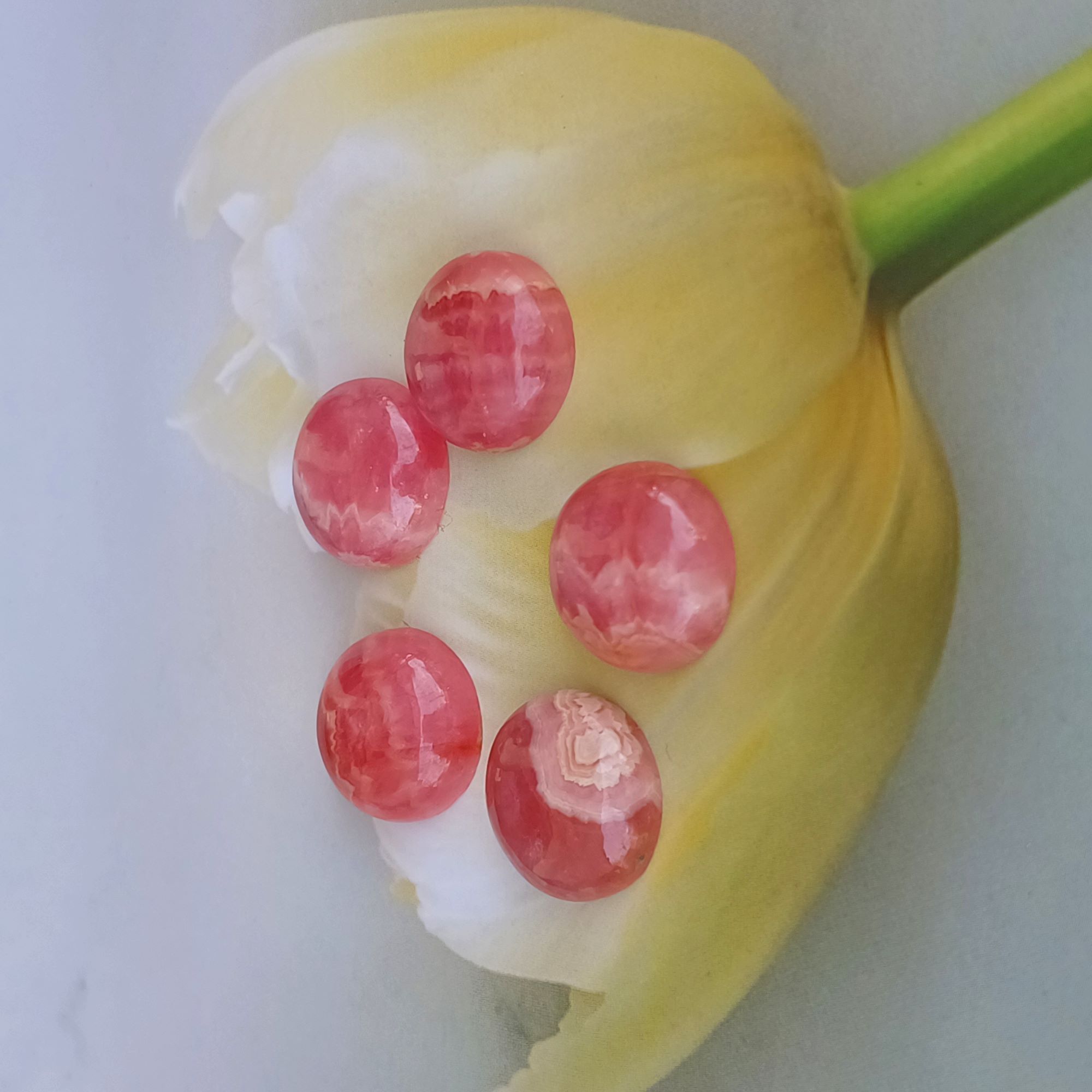 สีชมพู