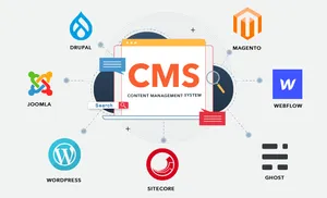 <strong>Web</strong> Developers <strong>Web</strong> <strong>Design</strong> Custom Content Management Software <strong>for</strong> Business Growth Available at Wholesale Price