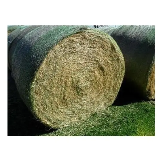 卸売/バミューダ果樹園草オート麦干し草の販売のためのベールの動物給餌ティモシーまたはアルファルファ干し草