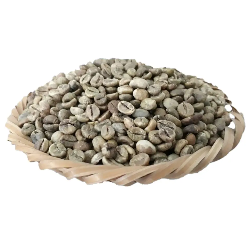 좋은 가격 로부스타 커피 콩 유기농 신선한 생 구운 하이 퀄리티 아라비카 전통 자연