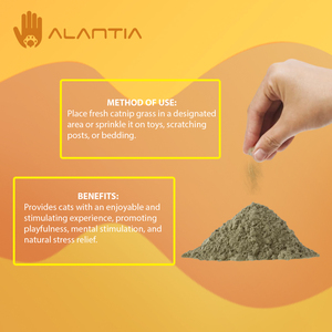 Amozan, superventas, polvo de menta personalizado natural puro, polvo de hierba gatera, hoja de hierba gatera, juguetes para mascotas para gatos - Product Image 4