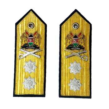 Epaulettes de ombro piloto, uniforme de oficial bordado em ouro, tranças, uniforme de oficial cerimonial, epauletes e epauletes