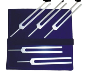 Thép không gỉ não điều chỉnh ngã ba bộ 5 với vồ và Túi miễn phí vận chuyển quốc tế... - Product Image 6