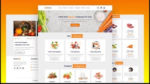 Shopify Website-Entwicklung | Attraktives Unternehmens-Website-Design E-Commerce-Website-Bauhauser - Product Image 2