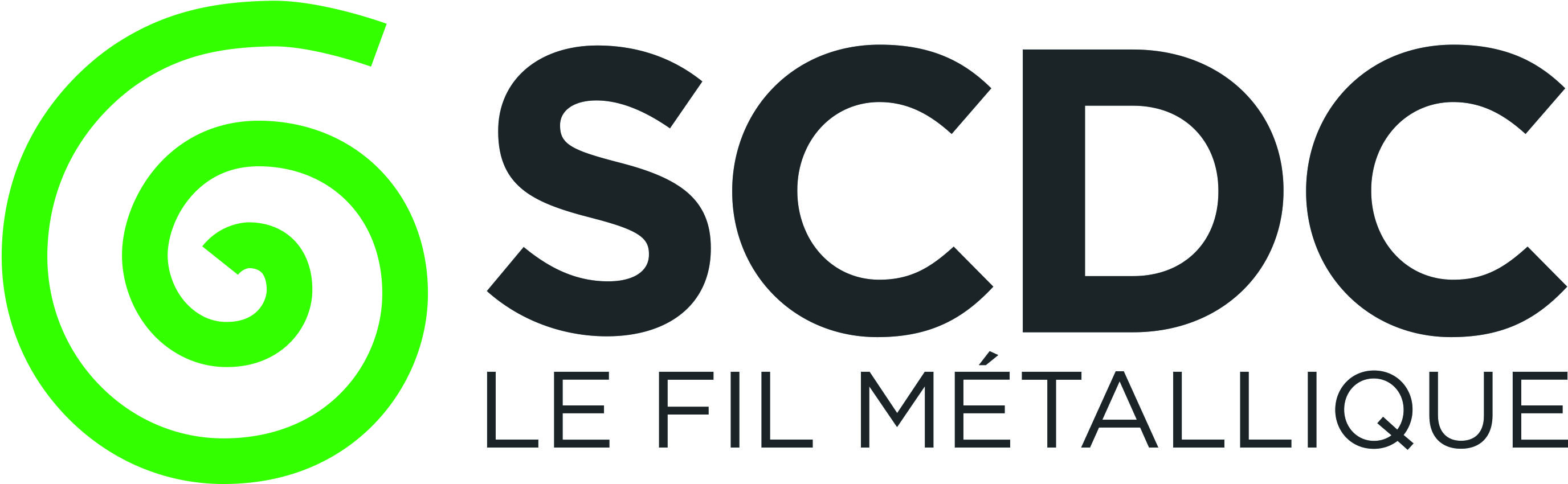 company logo