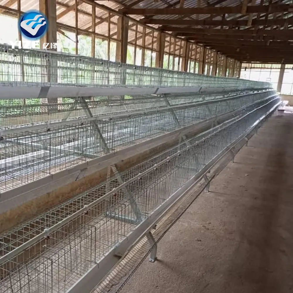 Jaula de capa de pollo automatizada, alambre de malla de acero galvanizado grande seguro, tipo A, alimentador, Colector de huevos, jaula para aves de corral