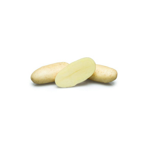 売れ筋新鮮野菜ロゼッタダイヤモンドレディースパンタポテトエジプト直販美味しいナチュラル - Product Image 1