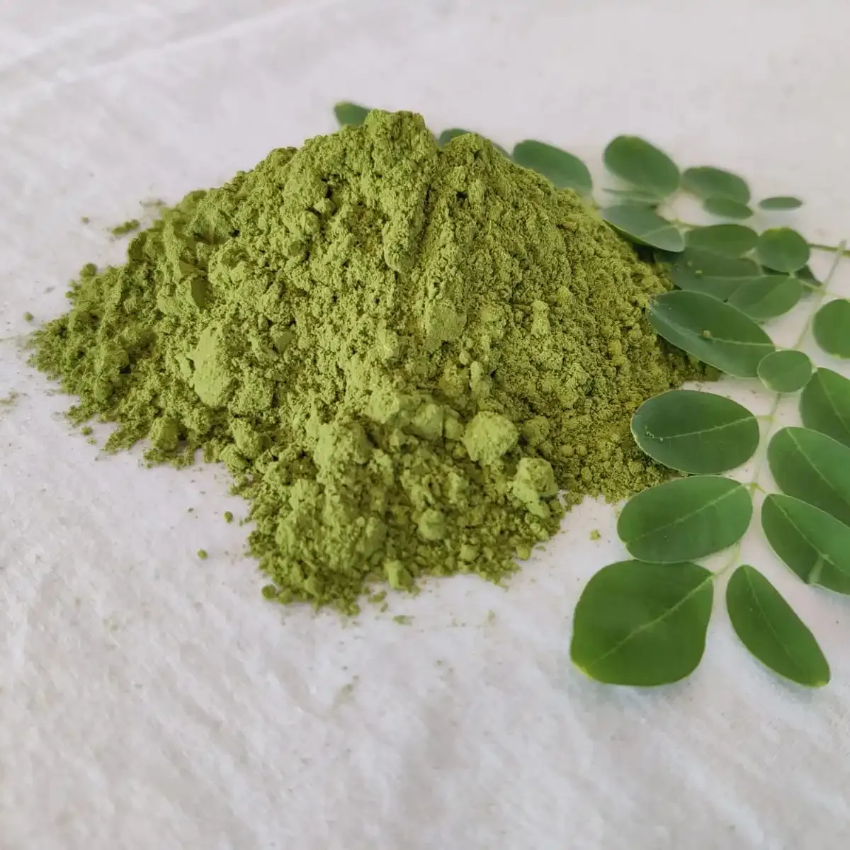 Moringa saudável pó natural orgânico Moringa folha pó rico em vitaminas e minerais para suplemento herbal