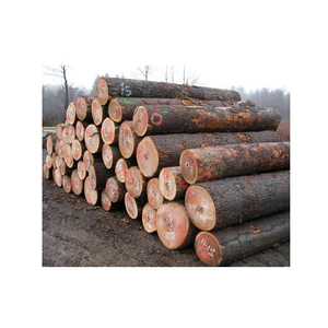 100% saf ahşap günlükleri tik ahşap kapı/meşe ahşap kütükler/çam ahşap kütükler - Product Image 6