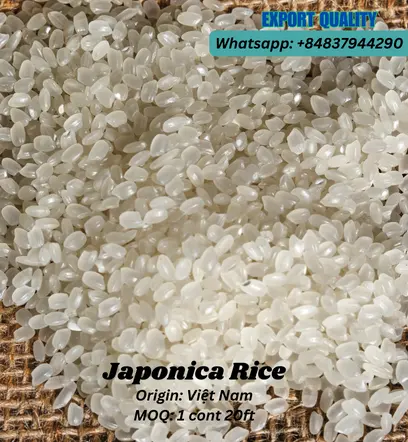 Disponible para exportar arroz JAPONICA de alta certificación, semillas redondas de arroz blanco de grano corto desde Vietnam Whatsapp + 84837944290