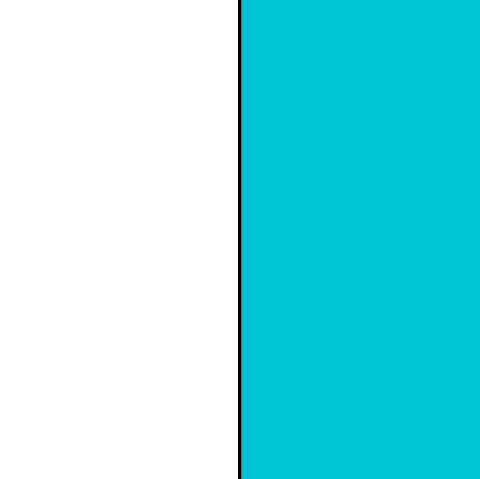 White/Turquoise