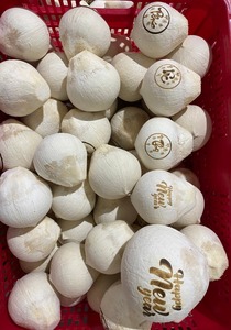 True Fruits_Coconut: ベトナムの新鮮な若いダイヤモンドココナッツとストローを飲み、ベストセラーを飲みながら卸売を輸出