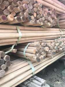 ไม้เท้าหวายมะละกา,ไม้เท้าหวาย MANAU สำหรับส่งออกจากเวียดนาม - Product Image 4