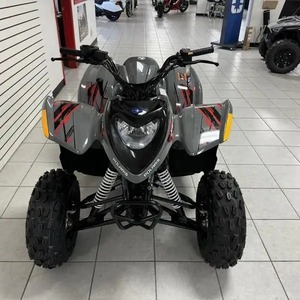 2024โพลาไรส์ฟินิกซ์200 4WD ได้รับการรับรอง <span class=keywords><strong>utvs</strong></span> EPA เครื่องยนต์4จังหวะ1000วัตต์พลังงาน DIY เกรดอุตสาหกรรมที่กำหนดเอง ODM