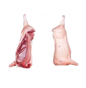 最低价格冷冻全猪胴体/全猪猪肉优质批量从欧洲出口