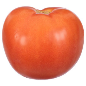 Fresh Red Farm Harvested Tomatoes - Product Image 1