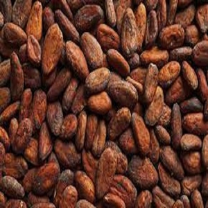 Granos de cacao de Brasil al por mayor, semillas de chocolate y cacao puro en polvo, disponibles al mejor precio