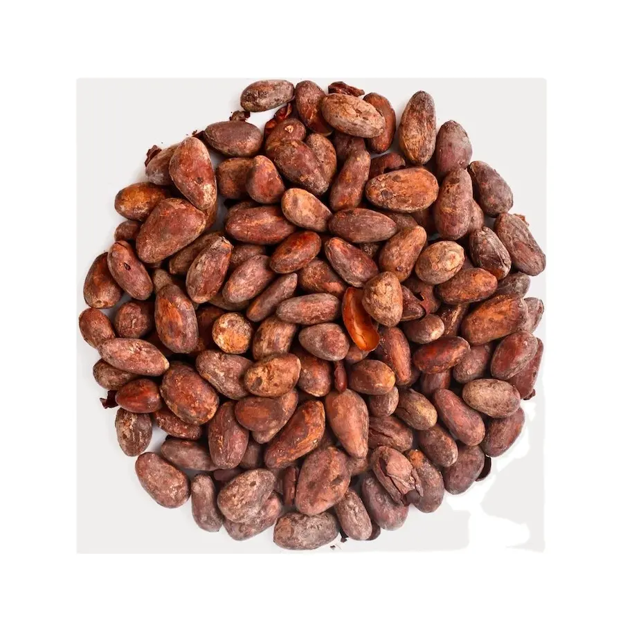 Granos de cacao crudos naturales de alta calidad disponibles para la venta; Gran cantidad disponible