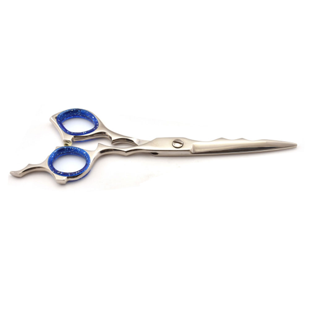 Ciseaux de coiffeur