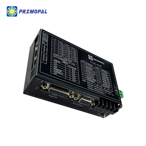 Primopal di alta qualità 3 assi ac DC24-48 30A 5-750W servomotore DC a bassa tensione servomotore programma controller