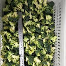 最佳冷冻新鲜蔬菜有机嫩茎盛产西兰花小花IQF热烫冷冻迷你花椰菜切片散装