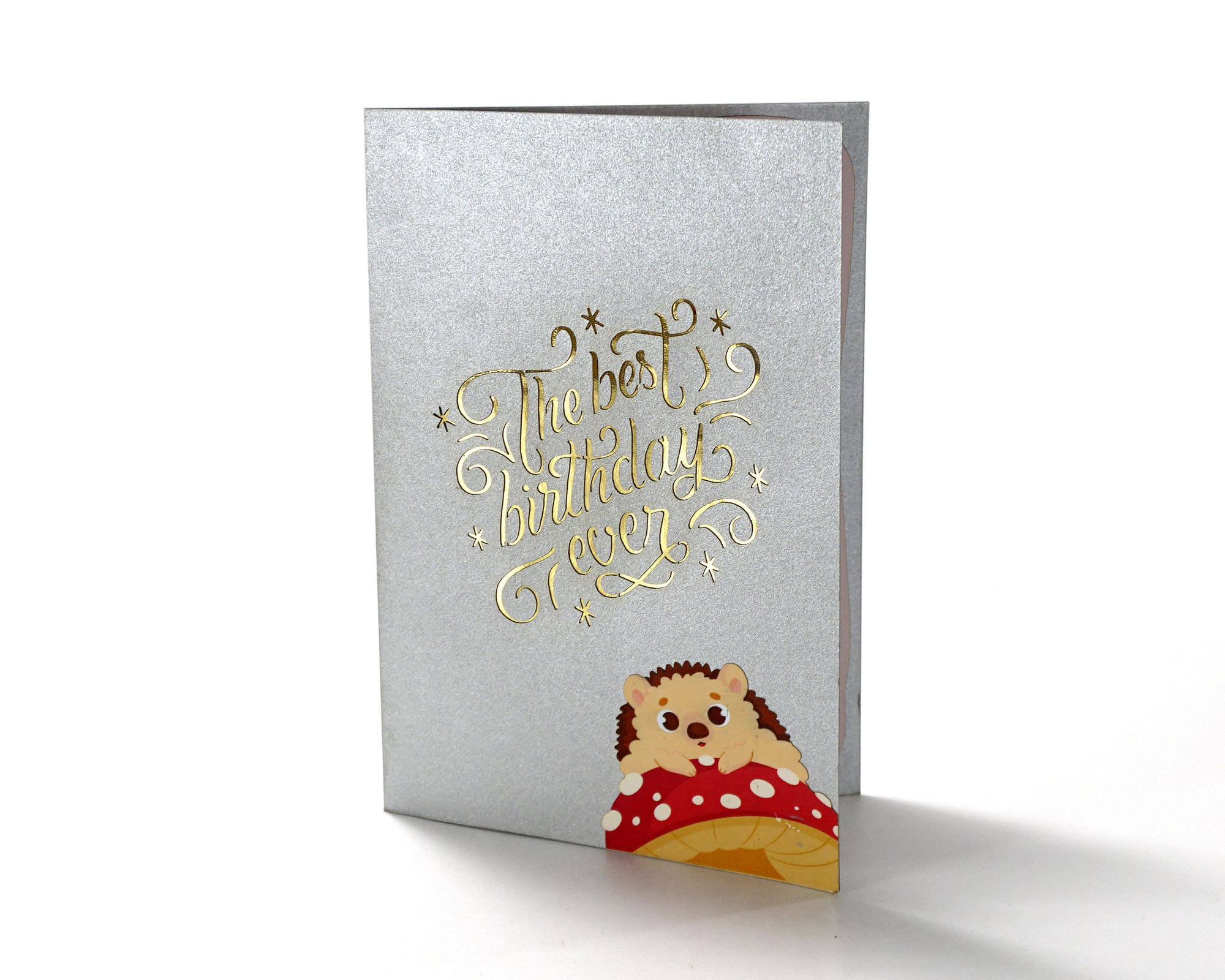 5.9 x 7.9 inch (15x20cm)