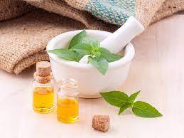 Soothing Headaches Ocimum Basilicum Sweet Basil Essential <strong>Oil</strong> 100% pure Therapeutic Grade basil essential <strong>oil</strong> Wholesale In India - Product Image 3