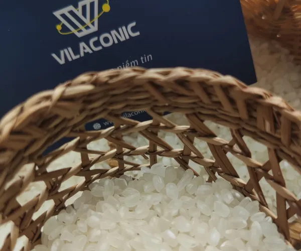 VILACONIC - VIETNAM - JAPONICA RICE 5% BROKEN (SUSHI RICE) - Whatsapp: +84 938 736 924 (Tony)