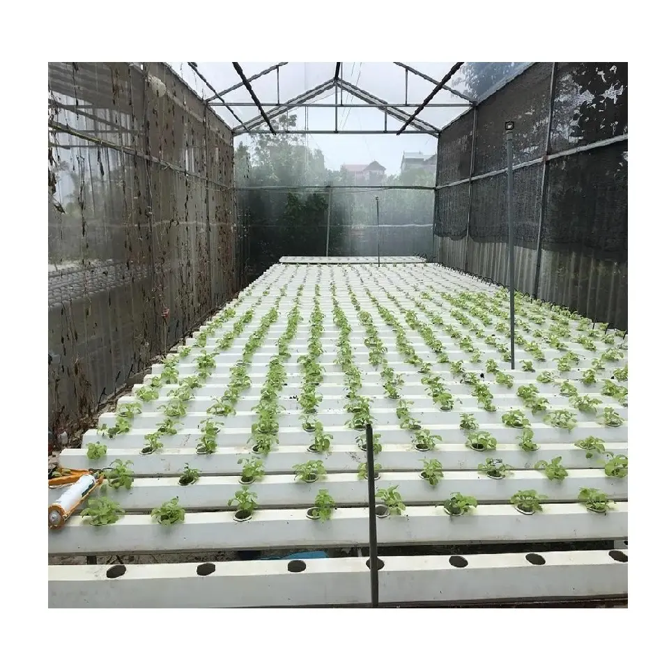 Nieuwe Groene Pvc Balkon Hydroponic Witte Horizontale Horizontale Flexibele Productie Groenteteelt Apparatuur Met 6 Mon