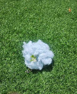 <span class=keywords><strong>PET</strong></span>-Faser HCS-Polyester-Stapel faser 6 DX32mm Hersteller von recycelten Polyester-Stapel fasern in Vietnam ISO, OEKO & GRS-zertifiziert - Product Image 3