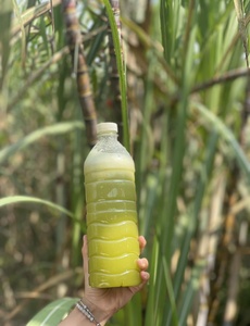 Frozen Sugarcane <strong>Juice</strong> Natural Healthy Sugarcane <strong>Juice</strong> Concentrate in Frozen Bottles <strong>250ml</strong> for Export ANGLE