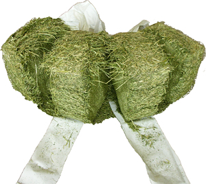 2023 New Sell Timothy Alfafa Hay Bales for Horses and Cattle from <strong>Rhode</strong> Hay Farm