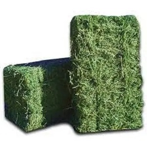 Yüksek kaliteli yonca peletleri | % 100% doğal Alfafa saman hayvan besleme Alfa - Product Image 4