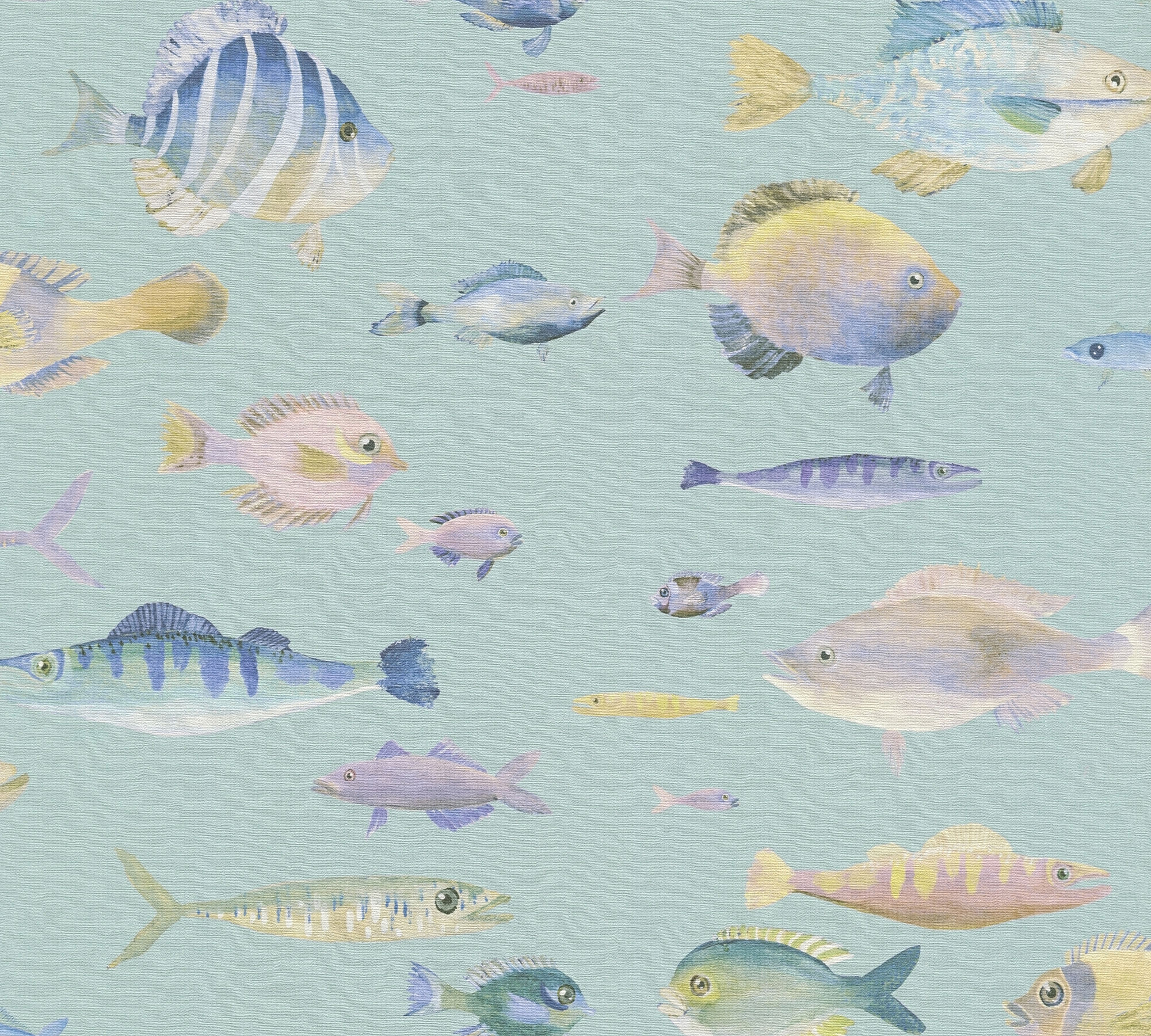 blue coloured violet yellow