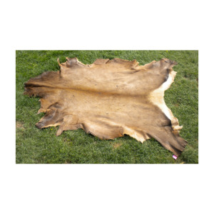 Chất lượng tốt nhất giá bán Hot ướt Muối da dê da dê da với tóc trên - Product Image 6