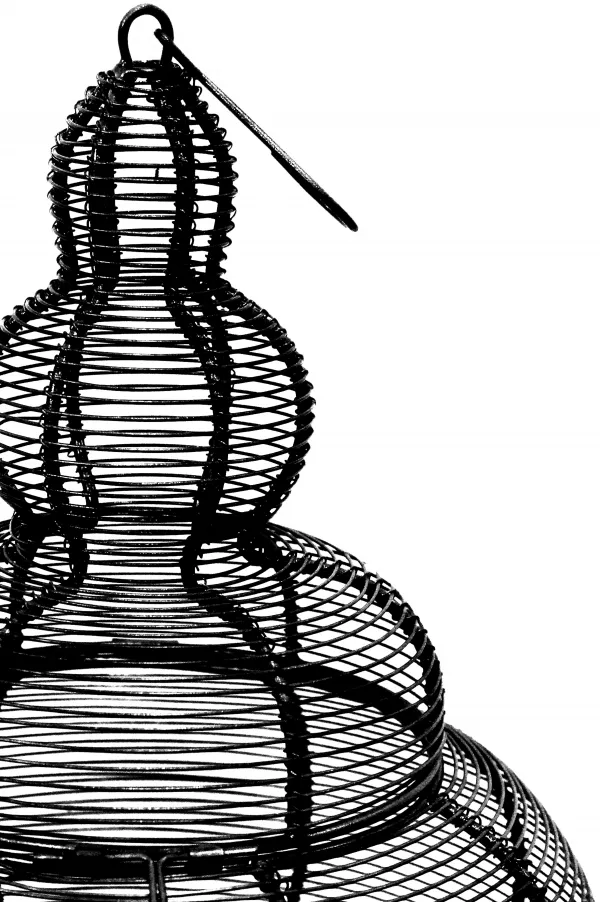 หลาย