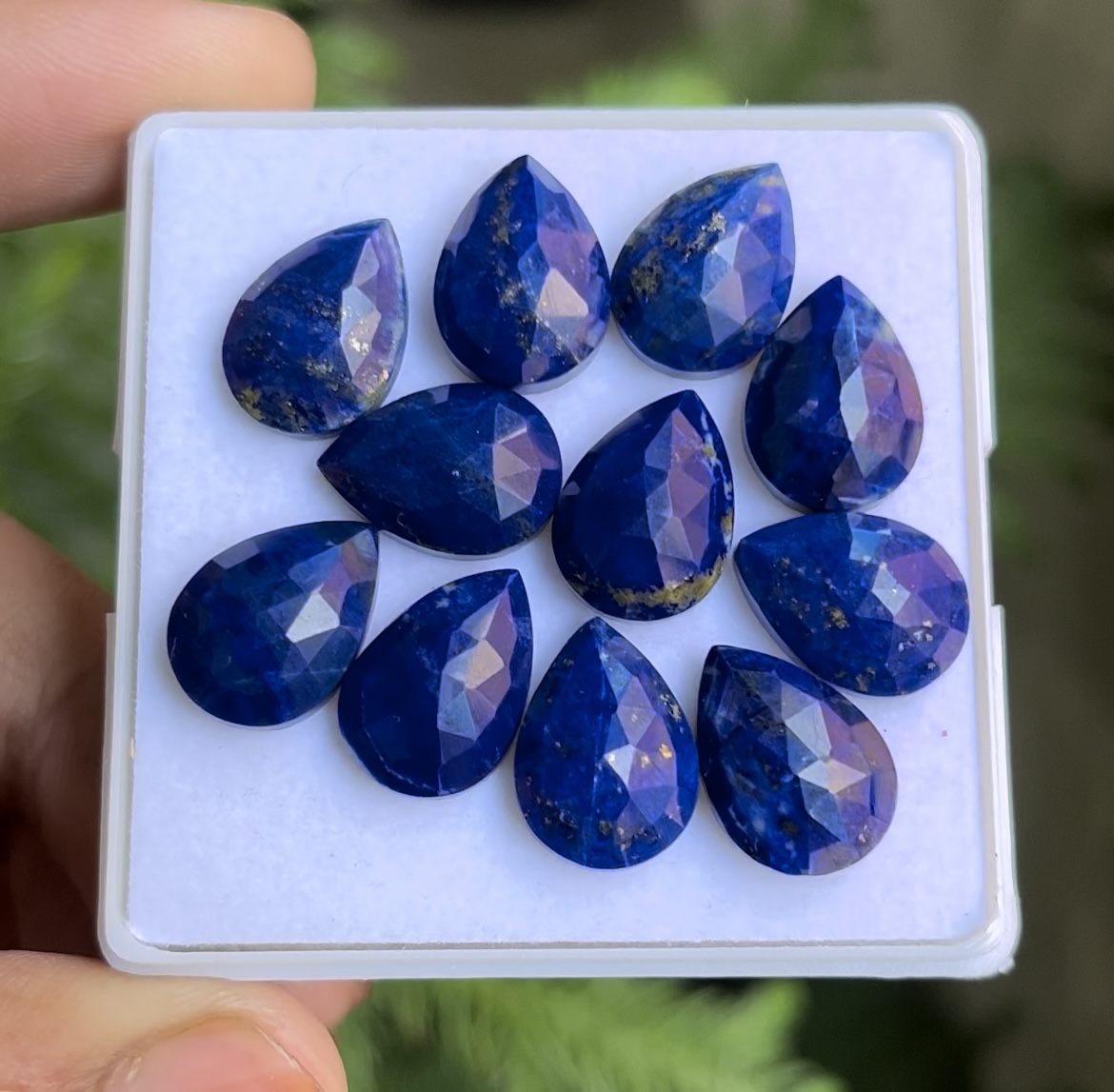 Bleu
